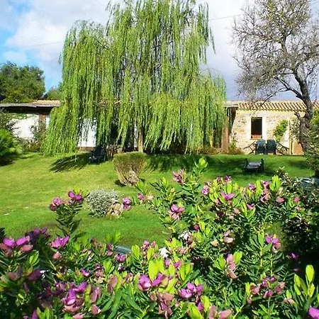 Welcome Baike Agriturismo Nuraghe Putzu Canu-2